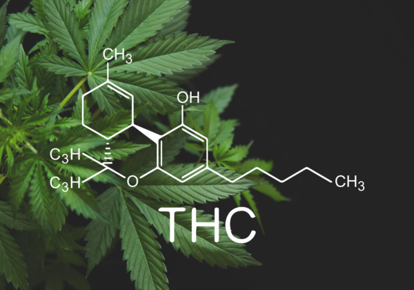 THC Tetrahydrocannabinol